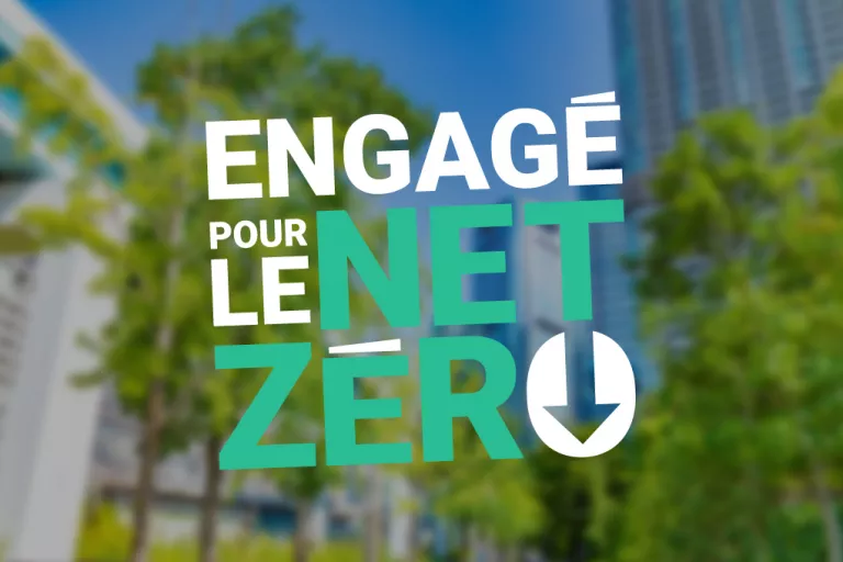 Net zero