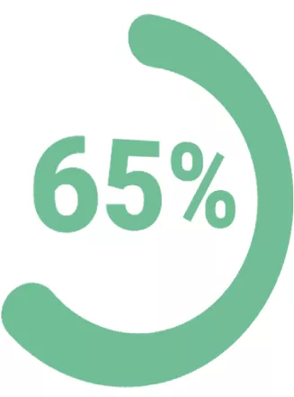 Infographics with purcentage