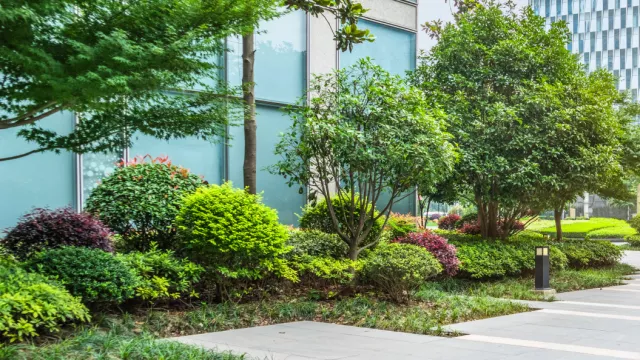 Office building garden 