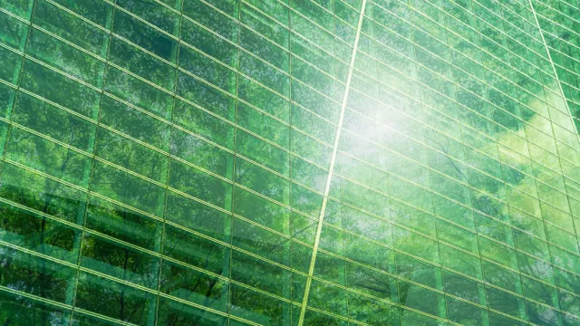 Outside view of a building reflecting a tree