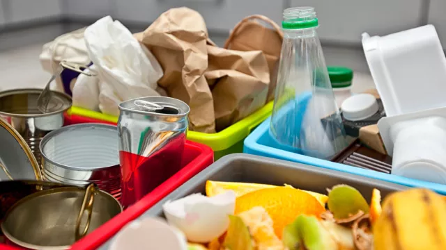 Waste sorting
